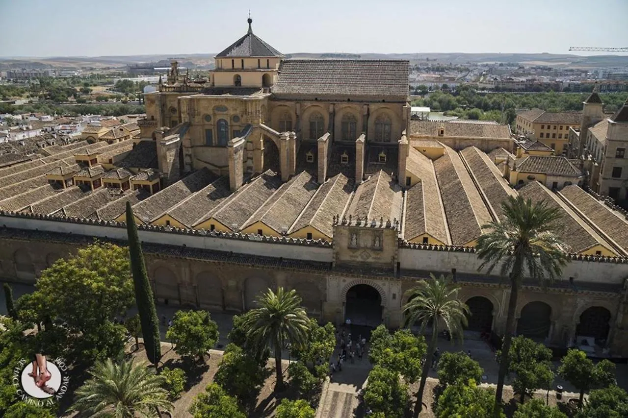Apartamento Boulevard Gran Capitan Cordoba Spain